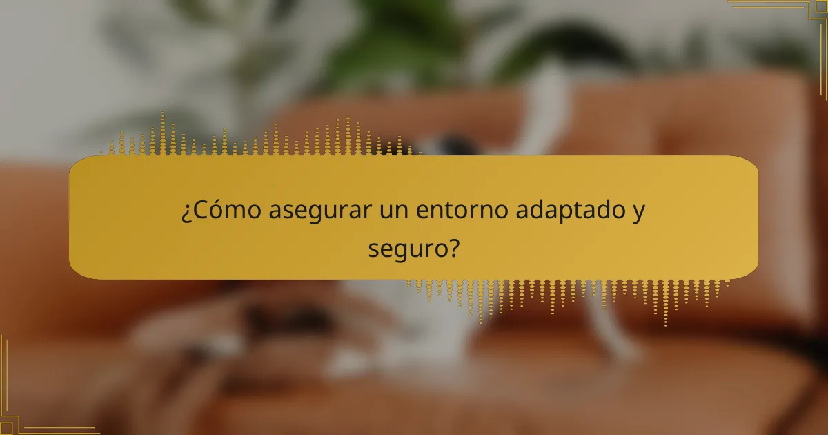 ¿Cómo asegurar un entorno adaptado y seguro?