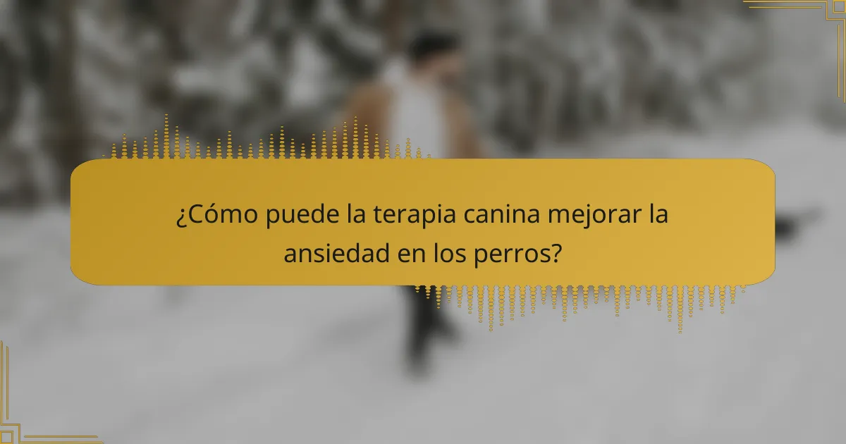 ¿Cómo puede la terapia canina mejorar la ansiedad en los perros?