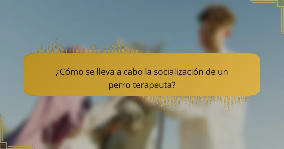 ¿Cómo se lleva a cabo la socialización de un perro terapeuta?