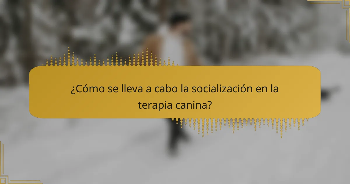¿Cómo se lleva a cabo la socialización en la terapia canina?