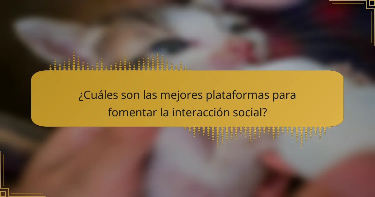 ¿Cuáles son las mejores plataformas para fomentar la interacción social?