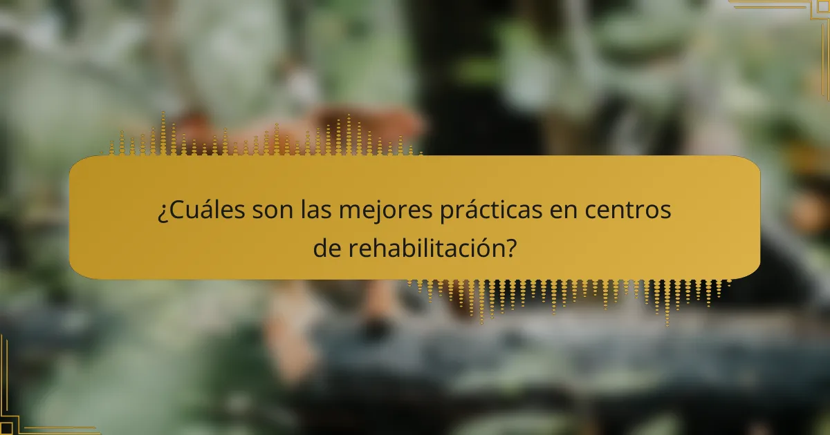 ¿Cuáles son las mejores prácticas en centros de rehabilitación?