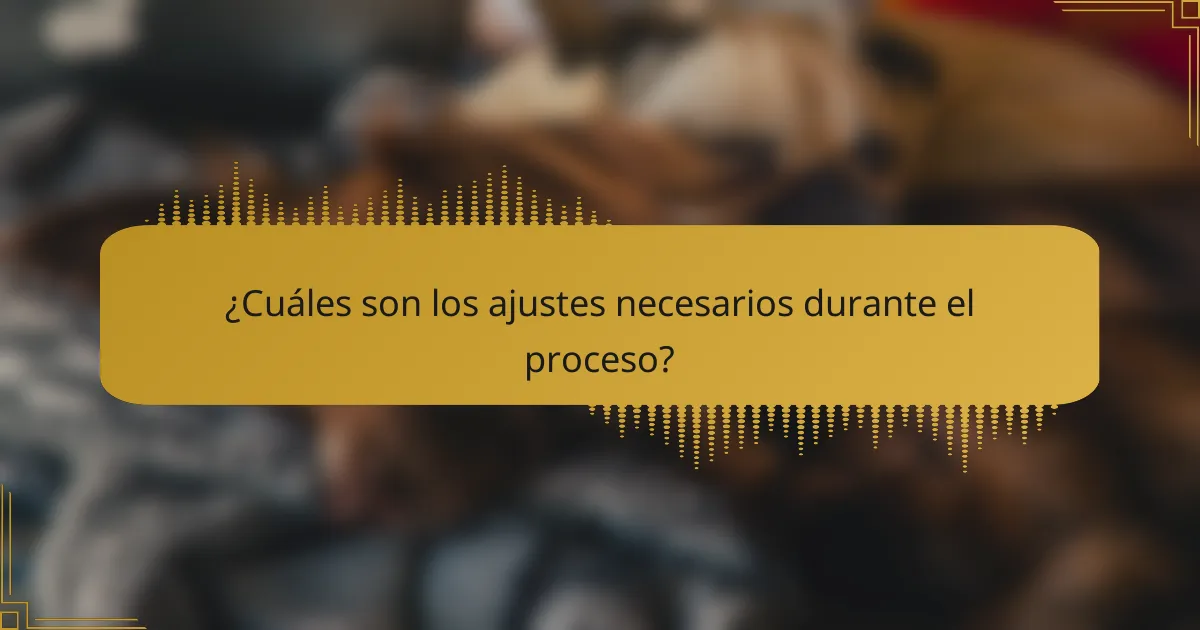 ¿Cuáles son los ajustes necesarios durante el proceso?