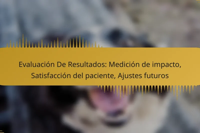 Evaluación De Resultados: Medición de impacto, Satisfacción del paciente, Ajustes futuros