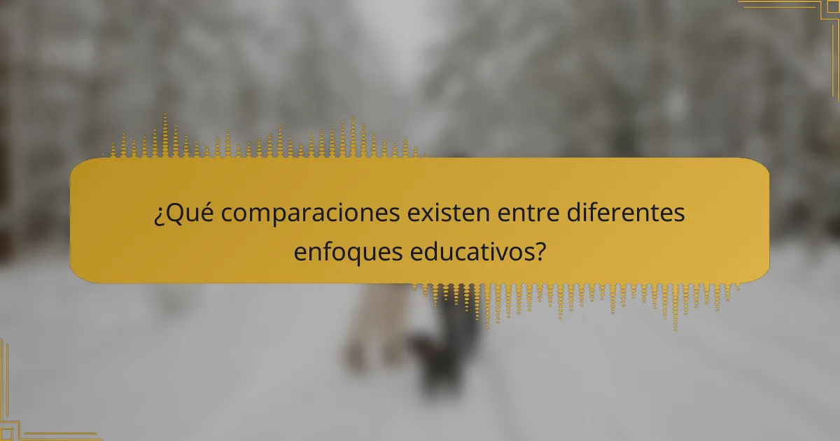 ¿Qué comparaciones existen entre diferentes enfoques educativos?