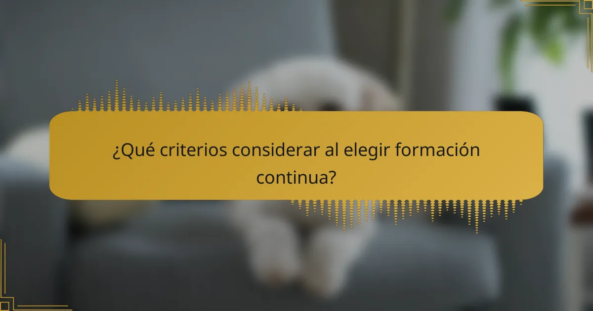 ¿Qué criterios considerar al elegir formación continua?