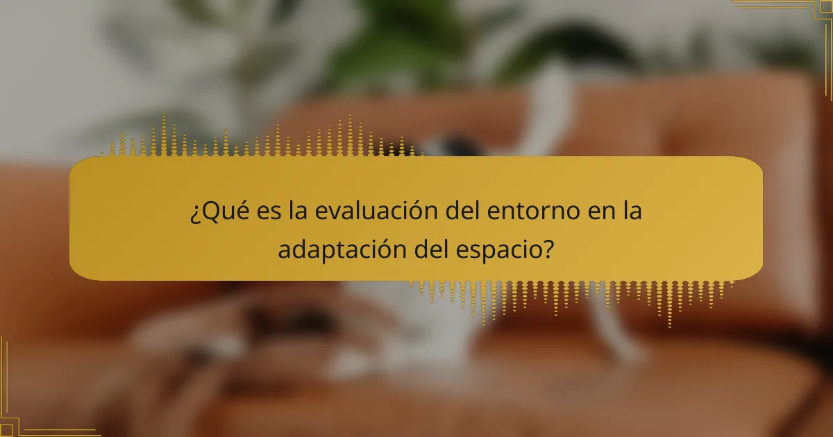 ¿Qué es la evaluación del entorno en la adaptación del espacio?
