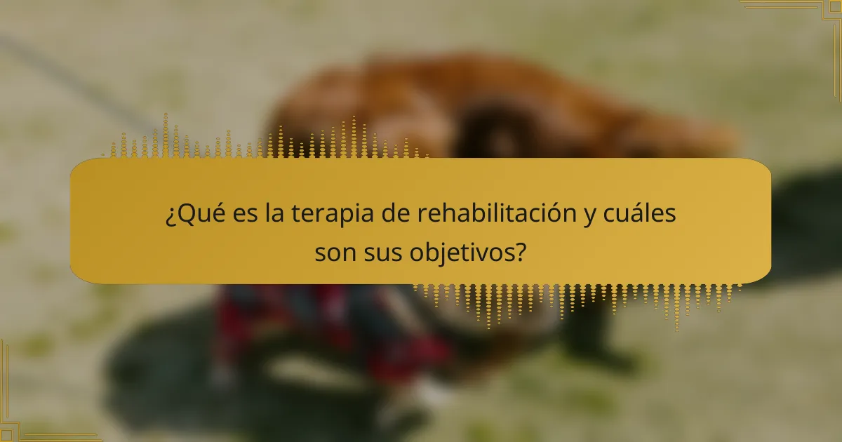 ¿Qué es la terapia de rehabilitación y cuáles son sus objetivos?