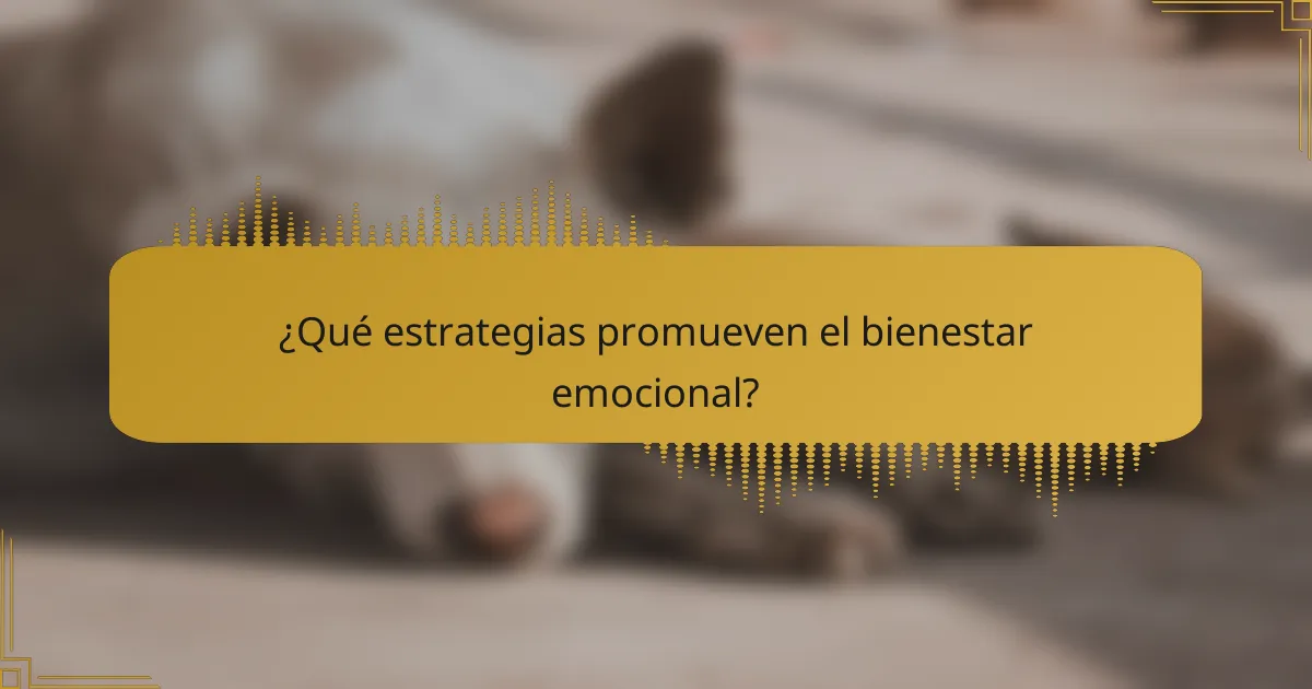¿Qué estrategias promueven el bienestar emocional?